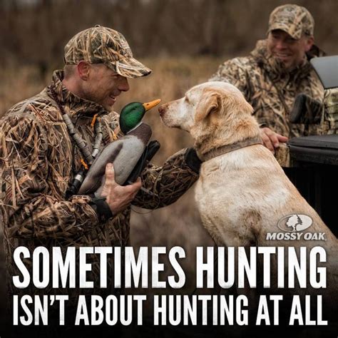 Hunting Dog Quotes Quotesgram