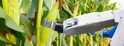 Hands Free Smart Farm Will Replace Laborers With Robots