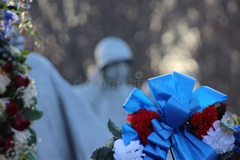 koreanska minnes veteran kriger redaktionell bild bild av koreanska högväxt 51454406