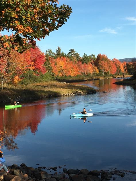 A Guide To The 7 Best Foliage Photo Spots In Bar Harbor Blog Bar