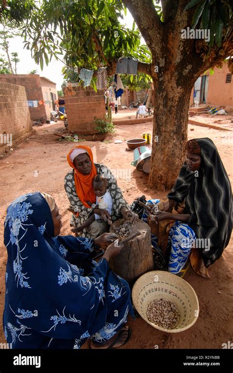 Burkina Faso Banfora Women Process Cashew Nuts Cooking And Peeling