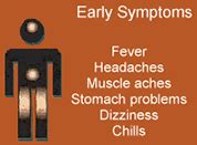 Check spelling or type a new query. Signs & Symptoms | Hantavirus | DHCPP | CDC