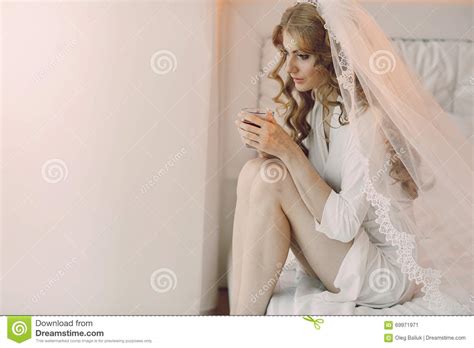 Morning Bride Inside Stock Image Image Of Hairstyle 69971971