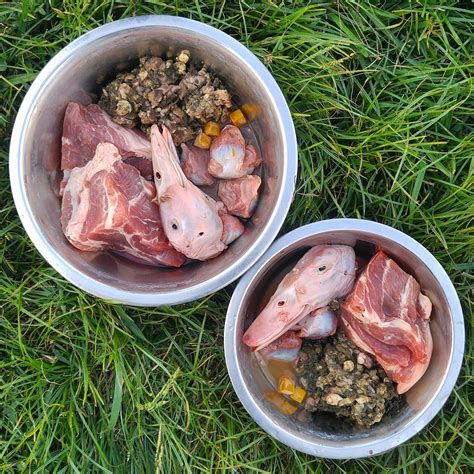 Stir until the ground turkey is broken up and evenly distributed throughout the mixture; Perfectly Rawsome, Raw Feeding Resource for Raw Feeders ...