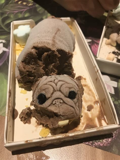 I'd like a steak, some rice and a green salad. Taiwanese Cafe Goes Viral for Its Horrifyingly Realistic Puppy-Shaped Ice-Cream