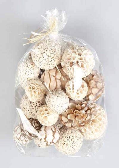 Assorted Natural Decorative Balls Set Of 26 Globe Imports