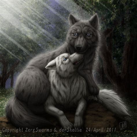 Wolf Couple By Sheltiewolf On Deviantart