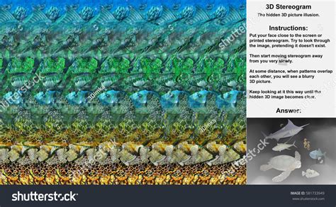 Stereogram Illusion Sea Turtle Fish Sea Stock Illustration 581733949