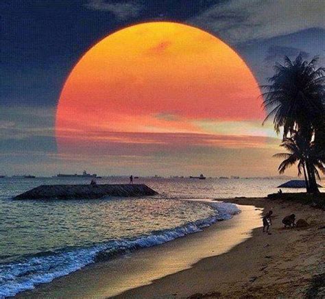 Beautiful Sunset Beaches Sunsets Ocean Beauty Nature Sky Hd