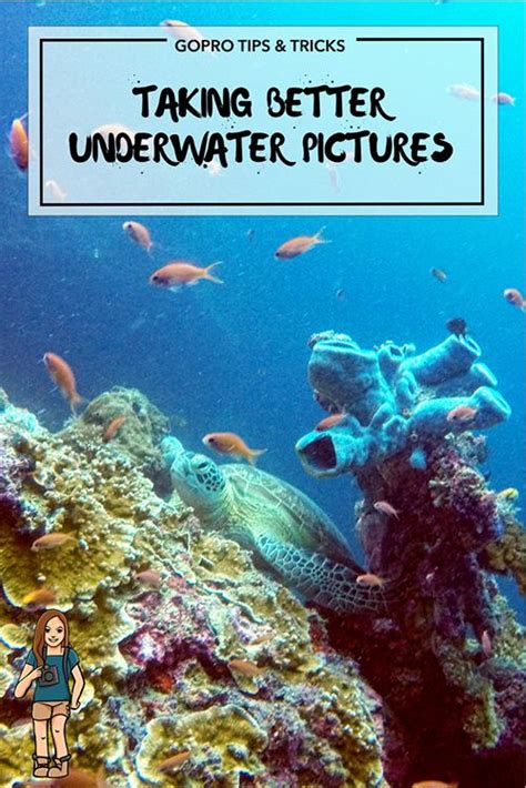 Top 7 Tips For Taking Better Underwater Photos Robyn