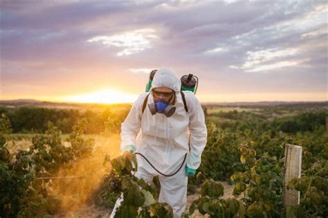 Erkeklerde memenin anormal ölçüde büyümesi. Pestisitler Nedir? Pestisit Çeşitleri Nelerdir? | MaksatBilgi