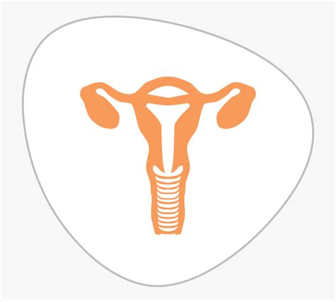 Endometrial Other Uterine Cancers Illustration Free Transparent Clipart ClipartKey