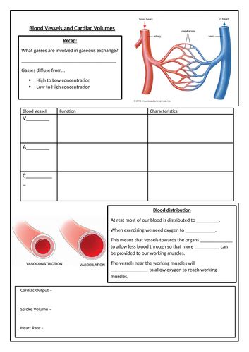 Blood Vessels Teaching Resources