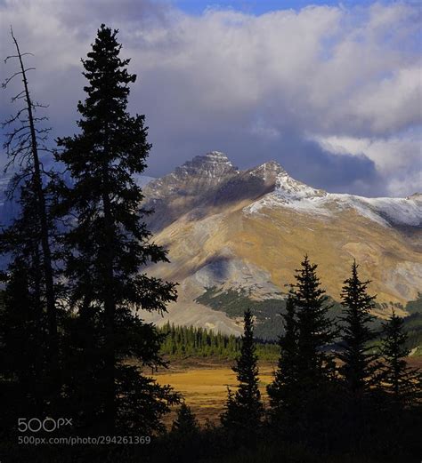 Sunwapta Pass In Jasper National Park Sunwapta Pass In Jasper National