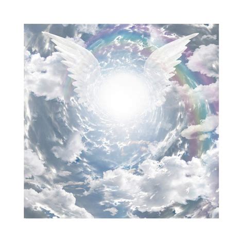 Buy Dorcev 8x8ft Angel Wings Backdrop Heaven Sent Theme Newborn Baby