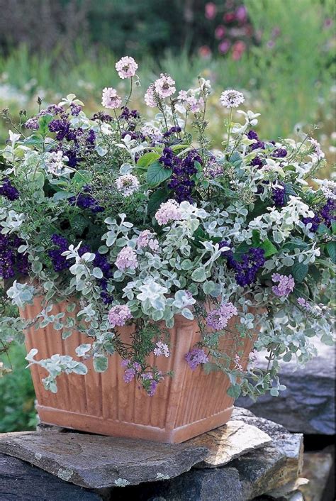 45 Beautiful Container Gardening Ideas Page 7 Of 36