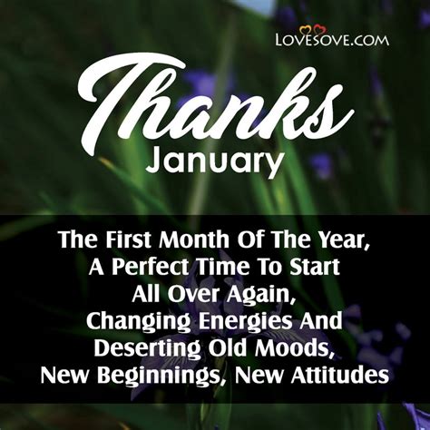 Best January Quotes Thanks January Wishes Welcome January Status