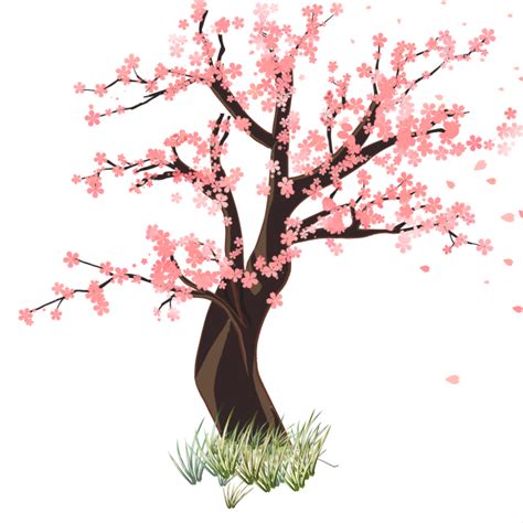 Sakura Tree Ibispaint