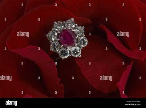 Ring A Ring A Roses Hi Res Stock Photography And Images Alamy