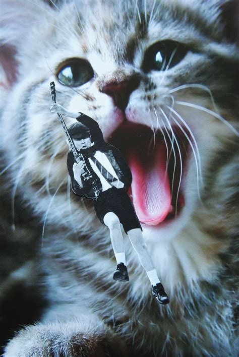 AC/DC/CAT, John Turck Collage | Surreal collage, Collage art, Original collage