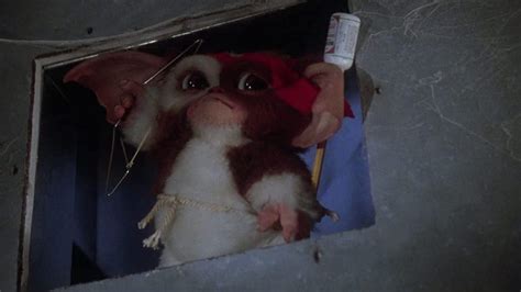 Gremlins 2 The New Batch 1990 Frame Rated