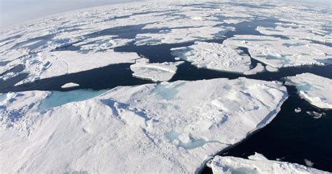 klimawandel könnte antarktis grüner machen und arten auslöschen sn at