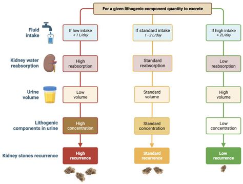 Nutrients Free Full Text How To Monitor Hydration Status And Urine