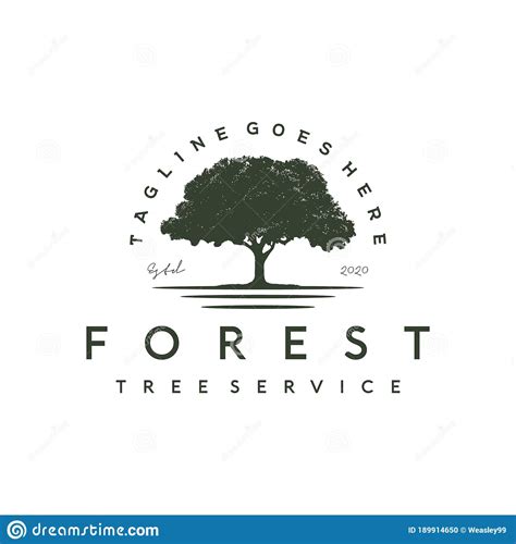 Banyan Tree Logo For Tree Service Residential Landscape Vintage Logo