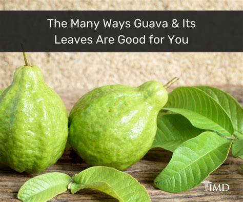 Such sugars are responsible for excess appetite and weight gain. 9 Health Benefits of Guava Leaves That Will Surprise You ...