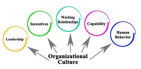 Culture And Influence In The Workplace Amana Consults