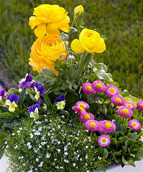 Getting started with container gardening is easier than it sounds. Easy Spring Container Ideas | Garden Gate