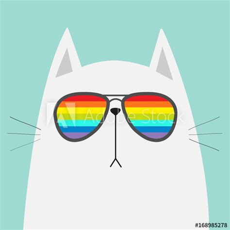 White Cat Wearing Sunglasses Eyeglasses Rainbow Color