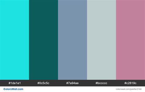 Infographic Colors Palette Hex Colors 1de1e1 0c5c5c 7a94ae