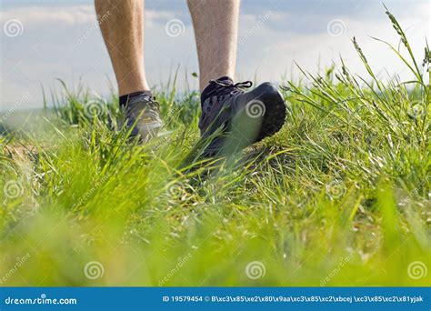 Walking On Green Grass Exercising Outdoors Stock Photo Image Of