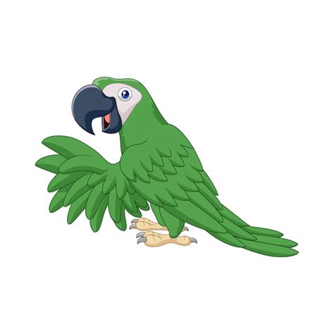 Premium Vector Cartoon Green Parrot