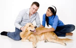 Over 5,000 trustworthy pet service professionals available to care for your. National Continental Auto Insurance Review | Auto ...