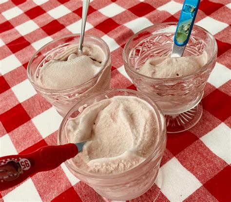 Easy Chocolate Frosty Homemade Ice Cream Recipe What A Good Day