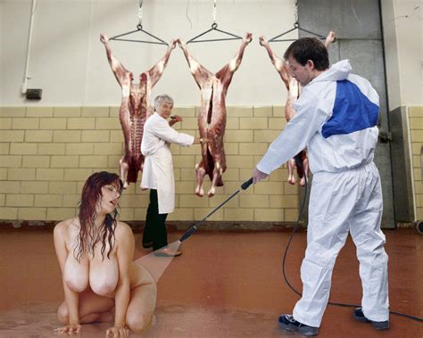 Pig Butchering Stand Hot Sex Picture