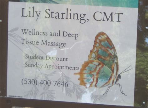 Lily Starling Massage Therapy Davis Localwiki
