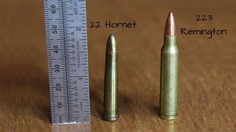22 Hornet Vs 223 Which Is Better