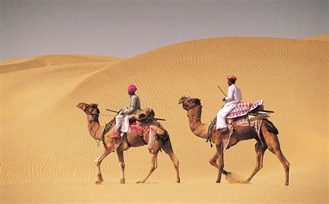 Best Things To Do In Pushkar For An Eventful Trip In