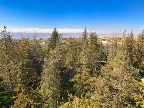 View Of Bekaa Valley Baalbek Lebanon Forest Blue Sky Stock Photo