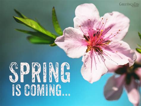 Welcome Spring Online Cards Animated Pics And Quotes