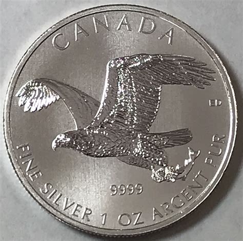 2014 Canada 5 Bald Eagle Birds Of Prey Series 1 Oz 999 Fine Silver