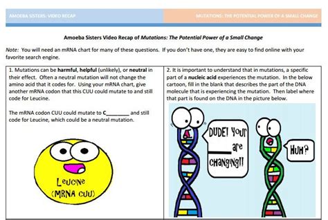 For the following illustration, determine where you could label the following terms: Mutation handout made by the Amoeba Sisters. Click to ...
