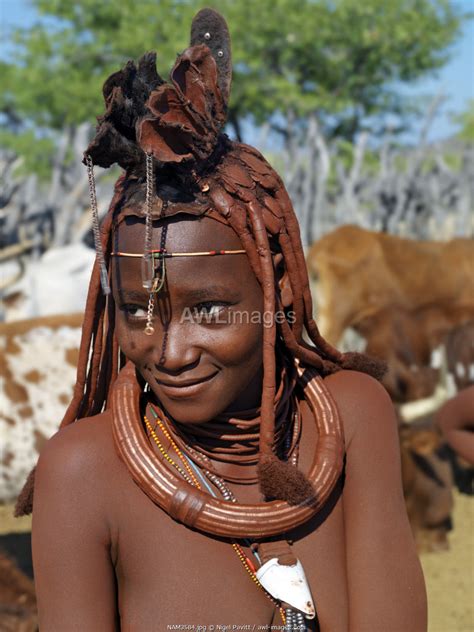 Awl Namibia A Himba Woman In Traditional Attire Her Body Gleams From A Mixture