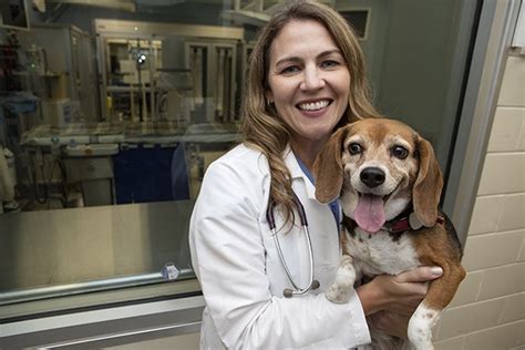 Texas A&M Veterinarians Setting The Pace - Texas A&M Today