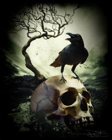 A Crow Sitting On Top Of A Human Skull