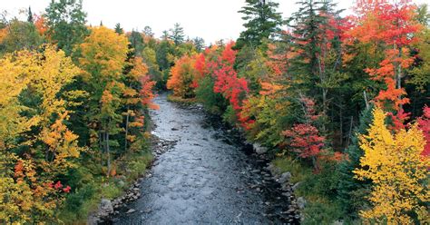 Top Fall Color Drives In Michigan And Dates To Go