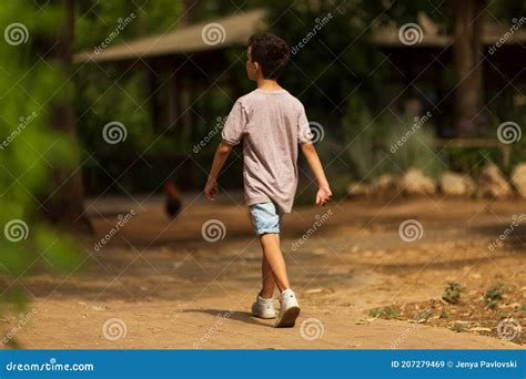 Little Kid Boy Walking Alone In The Forest Stock Image Image Of Road